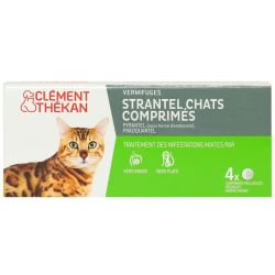 Strantel Chat /4Cp Clement Thekan