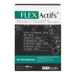 Aragan Flexactifs Articulation 60 Gel