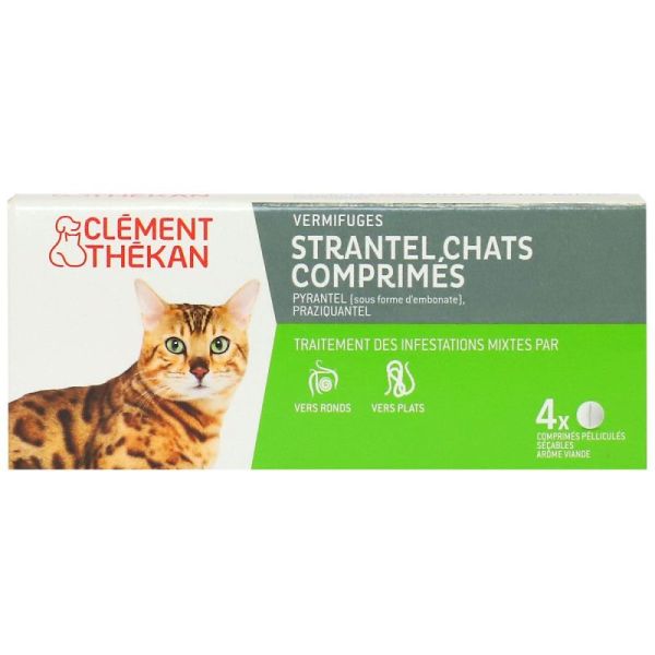 Strantel Chat /4Cp Clement Thekan